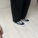 반스완 이미지