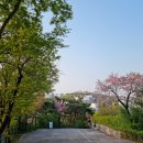 팔각정 입구 이미지