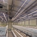 대지팜스 이미지