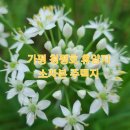 전원(주택)빌딩 이미지