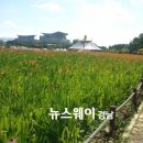 늘푸른공간 이미지