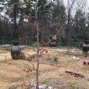 명자농장 이미지