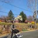 빨간지붕용산점 | 서울 용산구_아기랑 봄나들이 가기 좋은 잔디마당_용산어린이정원