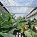 그린농원 이미지