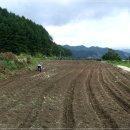 안성면016 이미지