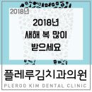 김치과