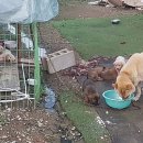 김영옥농장 이미지