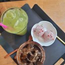 명차보이차카페 | 쌍계명차 하동 본점, 말차 보이차 맛집/주차/카페/선물세트 추천! 하동 여행 필수 코스