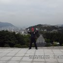 대신공원 숲길 이미지