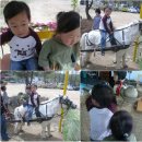 우농타조농장 이미지