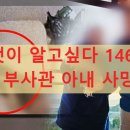 부곡동물병원 | 그것이 알고싶다 1467회 파주 부사관 아내 사망 사건, '아내는 왜 구더기가 되었나?' 충격적 진실 분석