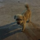 제주빈티지글램핑 이미지