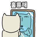 해강약품 네이버블로그