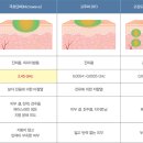 고운빛깔에스테틱 - 창원시 성산구 중앙대로 37 | 고운빛깔에스테틱