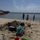 모자이크 어거스트 이미지