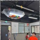 쌍동초등학교 이미지