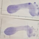 제이지피 이미지