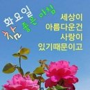 화요일 이미지
