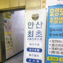 루프앤독 이미지