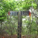 삼백육십오일사 Daum카페