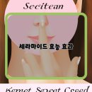 세라마이드가 제공하는 건강하고 빛나는 피부의 비밀 이미지