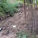 천문동 농장 이미지