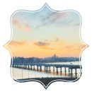 헬릭스동물메디컬센터 이미지