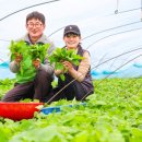 김종후농장 이미지