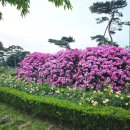 배산공원 화장실 이미지