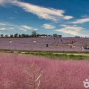 5산단1길 이미지