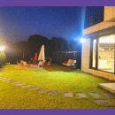 라비드 포레 이미지