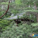 용호정 이미지