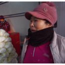 홍규농장 이미지