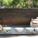 자연과치유 이미지