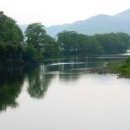 돈유1로 이미지