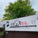 오리오리꿀꿀이 이미지