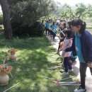 용궁초등학교 이미지