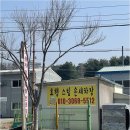 123모터스 | 경기도 화성의 차량 도색과 외형복원의 명가, 제이아이모터스를 만나보세요!