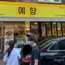 예향석갈비 | 대전 봉산동 맛집 예향 세수대야물냉면 후기