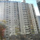 사파동114 이미지