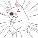 그루밍캣 압구정점 이미지