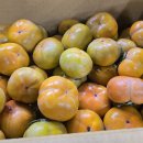 광산구-038 이미지