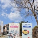 시즌 뷰 | [대전 근교 카페] 카페 레오 – 딸기 시즌 제대로 즐긴 재방문 후기 (+뷰/디저트/가격)