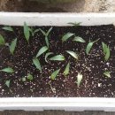 여흥목장 이미지