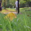 소향공원 이미지