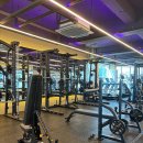 랩스 반석점 이미지