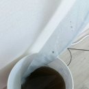 해보보건지소 Daum카페