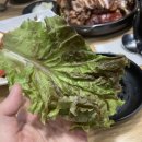 도야족발 길동점 이미지