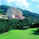 양지-15 이미지