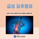 문정동 정형외과 허리통증이 발생하는 급성 요추염좌 원인은 이미지